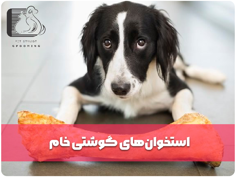 استخوان‌های گوشتی خام